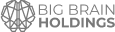 Big Brain Holdings